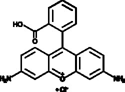 Cayman Chemical RhodamIn 110chlorIde 1g