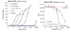 Cayman Chemical Mouse FarnsoId X Receptr Re 96