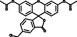 Cayman Chemical&nbsp;Green CMFDA 10mg