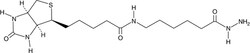 Cayman Chemical&nbsp;Biotin LC hydrazide, Purity: ≥98%, CAS: 109276-34-8, 100 mg