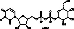 Cayman Chemical UDP-β-D-Glucose (sodium salt), Purity: ≥95%, CAS: 7333-33-7, 100 mg | Buy Online | Cayman Chemical | Fisher Scientific