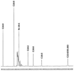 Cayman Chemical&nbsp;Long-chain Cis/Trans Isomer Fatty Acid Methyl Ester Mixture, 5 mL