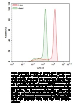 Cayman Chemical&nbsp;Calcein Deep Red&trade; AM, Purity: ≥90%, 1 mg