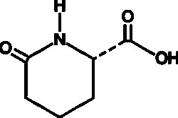 Cayman Chemical&nbsp;L-Pyrohomoglutamic Acid, Purity: ≥95%, CAS: 34622-39-4, 500 mg