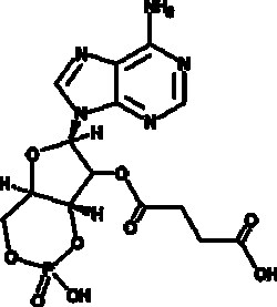Cayman Chemical&nbsp;2'-O-Monosuccinyladenosine-3',5'-cyclic monophosphate, Purity: ≥98%, CAS: 36940-87-1, 10 mg