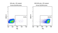 Sino Biological&nbsp;Recombinant Human EpCAM/TROP1 Protein (Site-Specific PE Conjugation, ECD, His Tag)