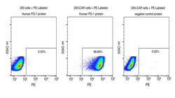 Sino Biological&nbsp;Recombinant Human PD-1 Protein (Site-Specific PE-Conjugated, ECD, His Tag)
