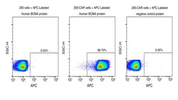 Sino Biological&nbsp;Recombinant Human BCMA Protein (Site-Specific APC-Conjugated, ECD, His Tag)