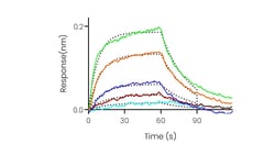 Sino Biological&nbsp;Recombinant Human TL1A/TNFSF15 Protein (Trimer, His & AVI Tag), Avi-tag Biotinylated, MALS-verified