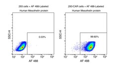 Sino Biological&nbsp;Recombinant Human Mesothelin Protein (His Tag)