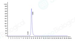 Sino Biological SARSCoV2 Spike 100ug