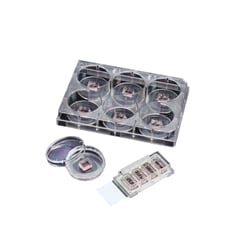 Alkali Scientific&nbsp;ASI&trade; Scar&trade; Block 4 Well Cell Culture Slide, Sterile, 24/Pk, DLux