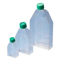 Alkali Scientific&nbsp;CellPro&trade; Cell Culture Flask, TC Treated, Plugged Cap, 225cm2, 5/Pack, 25/Case