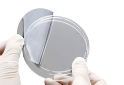 Alkali Scientific&nbsp;ASI&trade; Grid Sticker, Tetron, 10mm, 200/Cs, 100mm