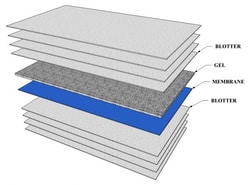 Alkali Scientific Electrophoresis Blotters 7.5x1