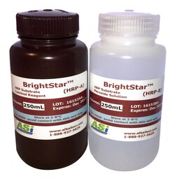 Alkali Scientific BrightStar AP, Alkaline Phosphatase Substrate, 1 x 100mL