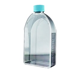 Alkali Scientific T150 U-Shaped Cell Culture Flask, Vented, Tissue Culture Treated