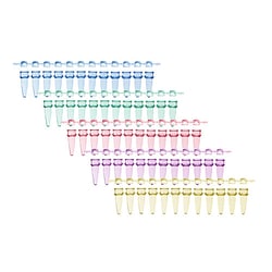 Alkali Scientific ProCycle™ 0.2mL 12-strip, PCR Tubes with Dome Caps, Assorted Colors, 80 Strips/Pack