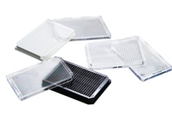 Alkali Scientific ASI™ 384 HT Cell Culture Plate, PS, 120μl,40/Cs, Black, Maxibinding