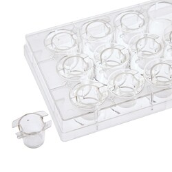 Alkali Scientific ASI™ Hanging Cell Culture Inserts with TC Treated Plates, Polyethylene Terephthalate (PET), 12 Inserts / 24well Plate, PS, PET membrance, Translucent, 6.50mmØ, 8.00μm pore, 0.20-0.35mL, 0.33cm², Sterile to SAL 10-6,12/plate/48/case