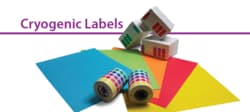 Alkali Scientific&nbsp;ASI&trade; Cryogenic Labels Rolls, 9.5mm Dots for 0.5-1.5mL, Red, 1000/Case