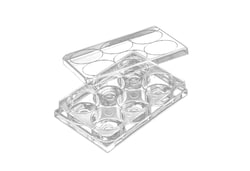 Alkali Scientific&nbsp;ASI&trade; 6-Well Confocal Plate (35m), Clear, Adhesion Type, Sterile, 4/Cs, PS/Flux, Treated (Positive-Charged/ Surface Coated), 50/Cs, 22 x 22 x 0.13mm, Hole 1.33mm