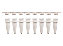 Alkali Scientific ProCycle White 0.2mL 8-strip P