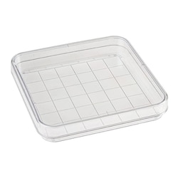Alkali Scientific&nbsp;245mm Square BioAssay Petri Di