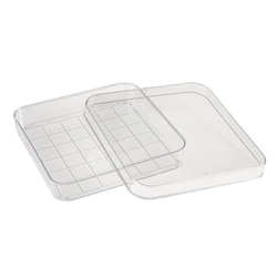 Alkali Scientific&nbsp;ASI&trade; Square Petri Dish with Grid, PS, Sterile, 125 x 125 x 20mm, 240/Case