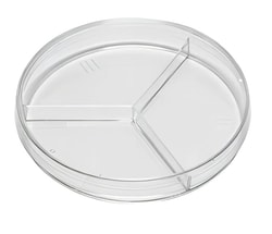 Alkali Scientific&nbsp;ASI&trade; Petri Dish, Y-Plate (3-Section), 100 x 15mm, Stackable, Sterile, 20/pk, 500/cs