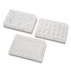 Alkali Scientific Cell Culture Plate, flat, TC, sterile, Bulk, 6 Well, 10/pk, 50/cs