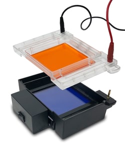 Alkali Scientific E1200 myGel InstaView Gel Tank