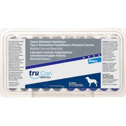 Med Vet International&nbsp;Trucan&trade; , DAPP+CL4, 1ML, 25/pkg