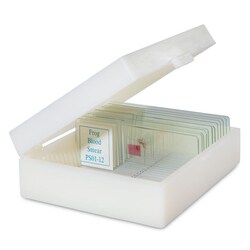 Med Vet International&nbsp;Prepared Slide Sets Elementary Level