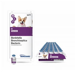Med Vet International Vanguard B Bordetella Bronchiseptica Vaccine, Cellular Antigen Extract, 1 mL, 50 Doses