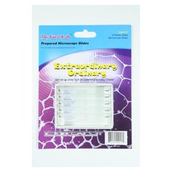 Med Vet International&nbsp;Extraordinary Ordinary 5pc Slide Set