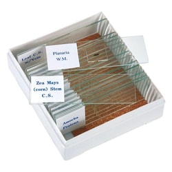 Med Vet International&nbsp;Biology Slide Set