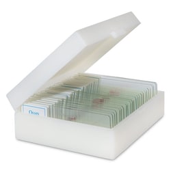 Med Vet International&nbsp;Prepared Slide Sets Intermediate Level