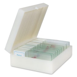 Med Vet International&nbsp;Prepared Slide Sets - High School Level