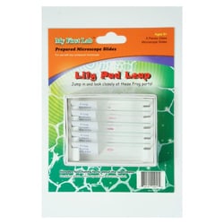 Med Vet International&nbsp;Lily Pad Leap 5pc Slide Set
