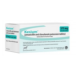 Med Vet International Kesium (Amoxicillin and Clavulanate Potassium) Chewable Tablets 375mg 96 Count