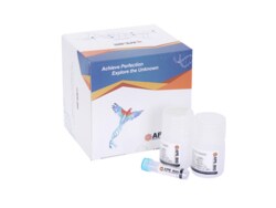 Apexbio Technology LLC&nbsp;One-step TUNEL Cy3 Apoptosis Detection Kit 100rxns