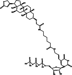 Apexbio Technology LLC Digoxigenin-11-UTP 25ul (10 mM)