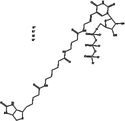 Apexbio Technology LLC Biotin-16-UTP 200ul (10 mM)