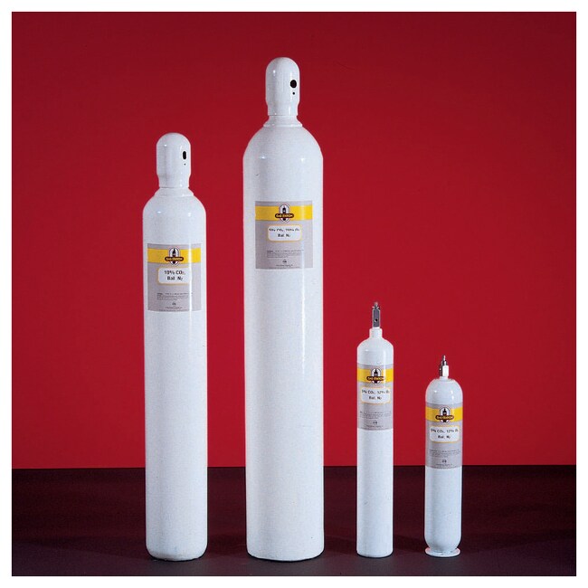 Fisher Scientific Gas Station Gases for Blood Gas CalibrationGases and