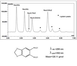QA Bio Inc QA-Bio, Inc. • LudgerTag DMB Sialic Acid Labeling Kit, Quantity: