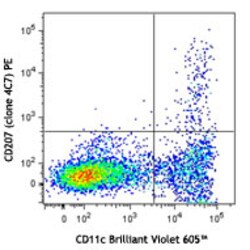 Biolegend PE anti-mouse/human CD207 (Langerin), Quantity: Each of 1
