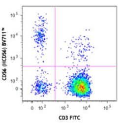 Biolegend Brilliant Violet 711 anti-human CD56 (NCAM), Quantity: Each of