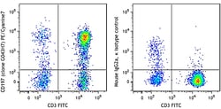 Biolegend PE/Cyanine7 anti-human CD197 (CCR7), Quantity: Each of 1