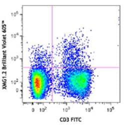 Biolegend Brilliant Violet 605 anti-mouse IFN-γ, Quantity: Each of 1